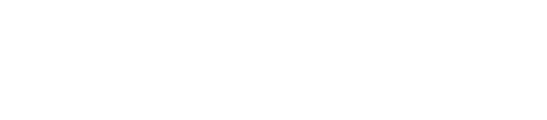 Tinyull